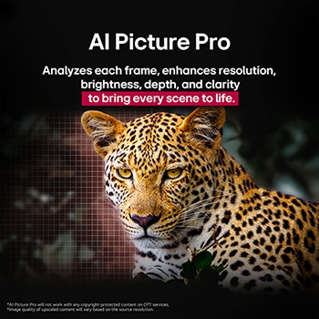 Leopard v lese v živých barvách a detailech. Leopard má mřížku a světlo, které za ním svítí, což naznačuje, jak aplikace LG AI Picture Pro působivě vizuálně vylepšila rozlišení, jas, hloubku a čistotu scény.