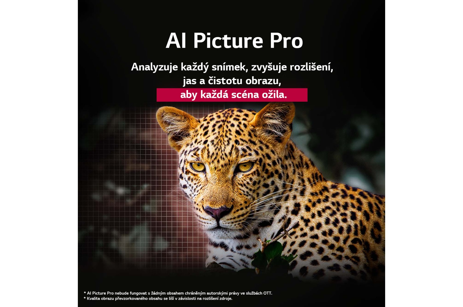 Leopard v lese v živých barvách a detailech. Leopard má mřížku a světlo, které za ním svítí, což naznačuje, jak aplikace LG AI Picture Pro působivě vizuálně vylepšila rozlišení, jas, hloubku a čistotu scény.