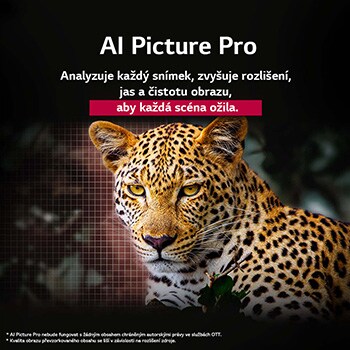 Leopard v lese v živých barvách a detailech. Leopard má mřížku a světlo, které za ním svítí, což naznačuje, jak aplikace LG AI Picture Pro působivě vizuálně vylepšila rozlišení, jas, hloubku a čistotu scény.