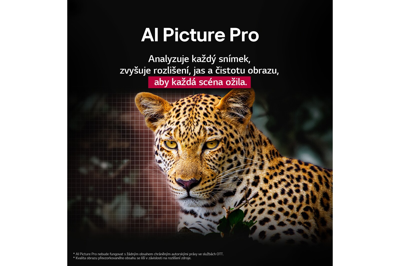 Barevný papoušek v ultra vysokém rozlišení na černém pozadí. Všude kolem se ve vzduchu vznášejí kapky vody. Obrázek je ukázkou technologie Perfect Color, kdy každý odstín na těle papouška je výrazný a zářivý. Jsou vidět různá loga certifikací UL a Intertek. Týkají se 100% věrnosti podání barev a 100% barevného objemu. Je také vidět text Podívejte se na značku certifikace Perfect Color.