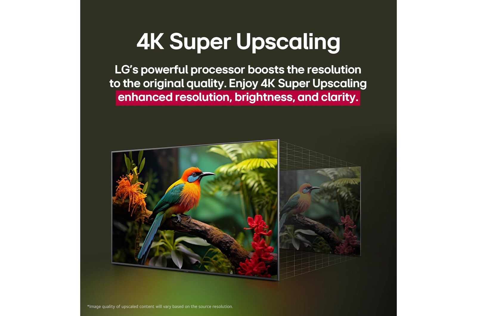Srovnání před a po, jak LG 4K Super Upscaling zlepšuje kvalitu obrazu. Dva panely se stejným obrázkem barevného ptáka sedícího na větvi v lese, panel vpravo je vybledlý. Titulek pojednává o tom, jak 4K Super Upscaling zvyšuje rozlišení, jas a čistotu. 
