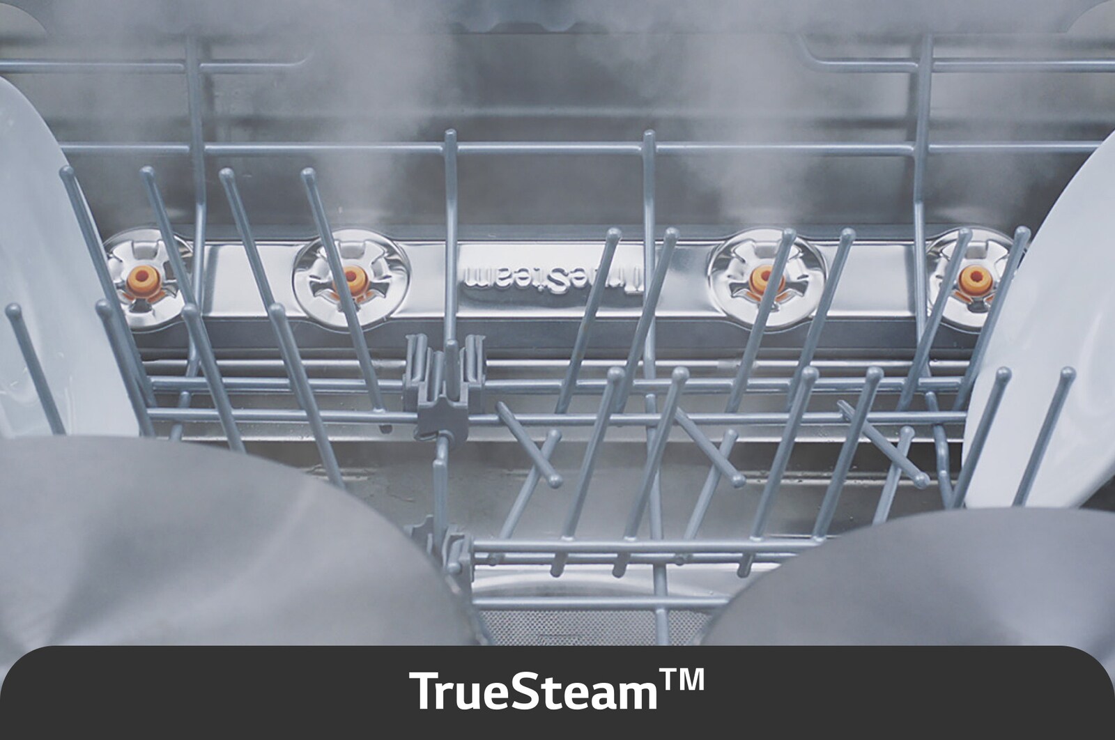 Obrázek USP pro True Steam