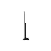 Boční pohled na LG OLED evo TV, OLED C4