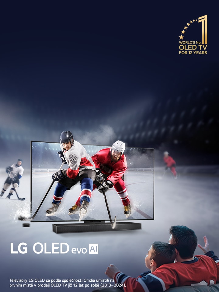 LG Hokej