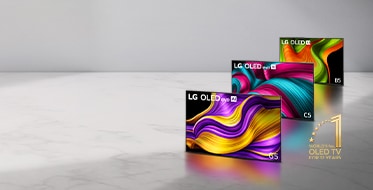 LG 2025 TV NPI models