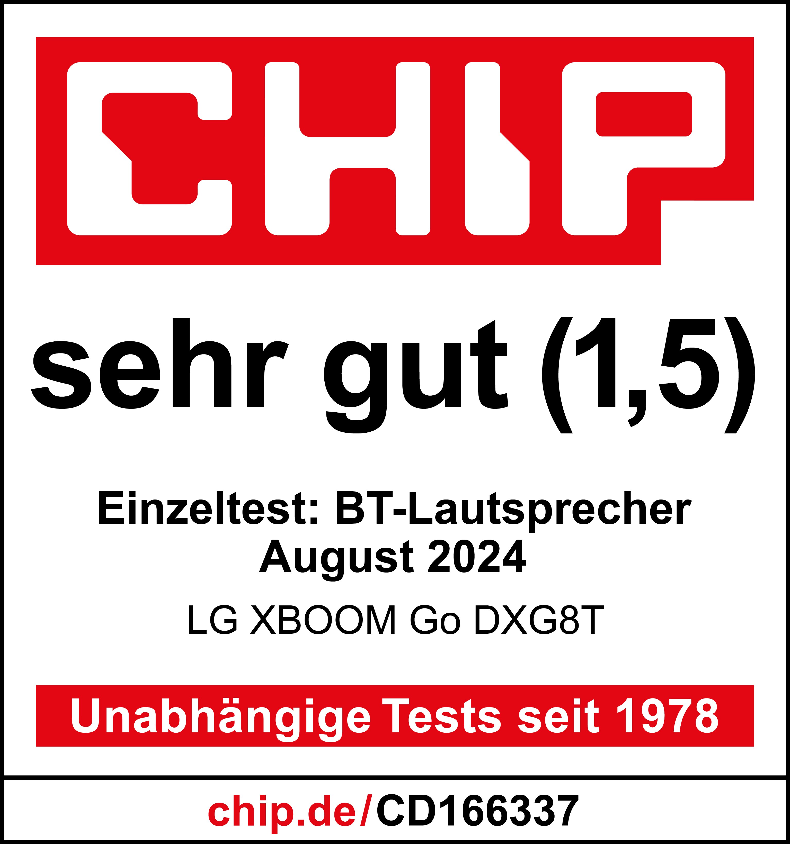 DXG8T Chip