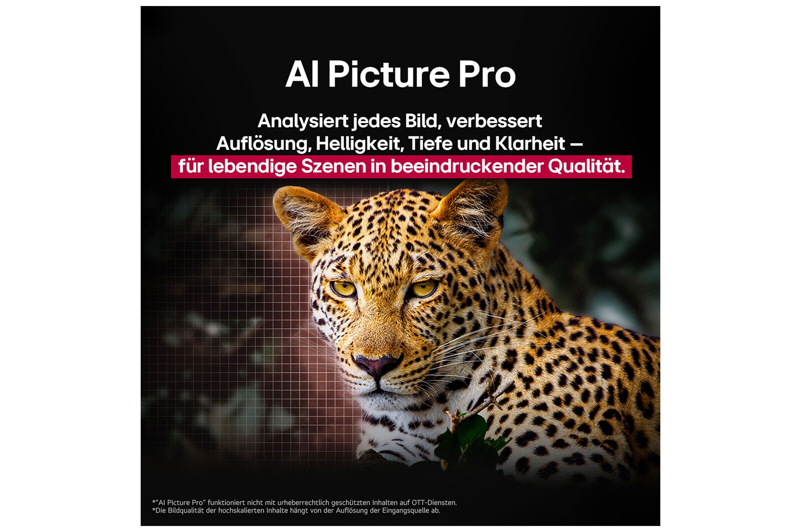 Leopard im Wald in leuchtenden Farben und Details. Neben dem Leopard ist ein Gitternetz zu sehen. Hinter ihm leuchtet ein Licht. Das Bild zeigt, wie LG AI Picture Pro die Auflösung, Helligkeit, Tiefe und Klarheit der Szene eindrucksvoll verbessert hat.