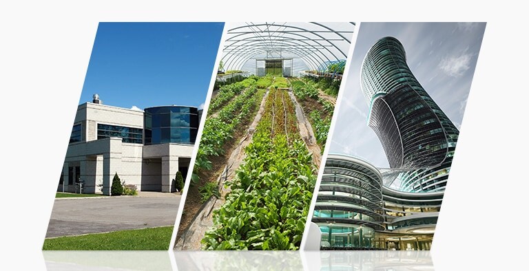 Luftgekühlte Inverter-Scroll-Wärmepumpe für verschiedene Standorte