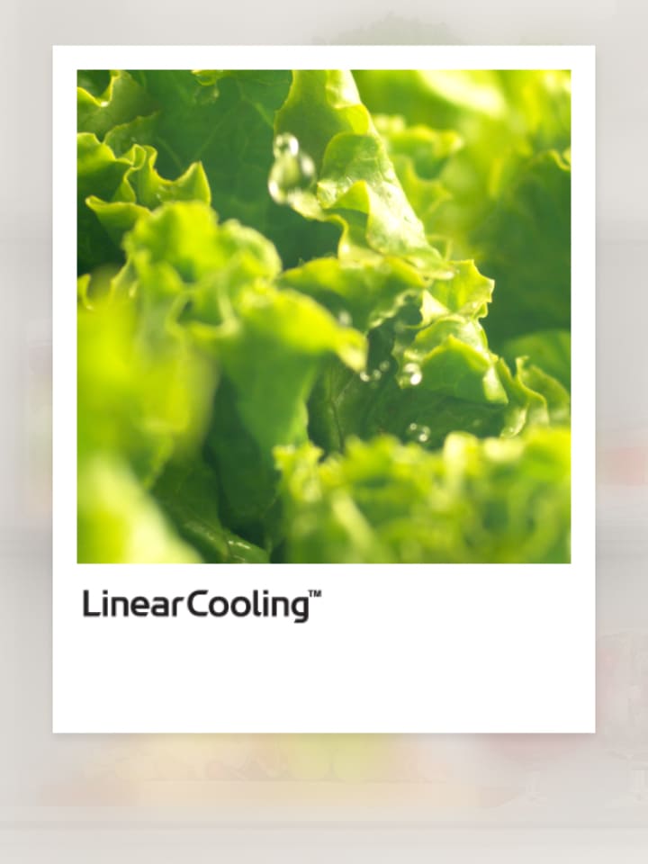 LINEARCooling® Temperaturkurve mit frischem Gemüse in der Nähe.