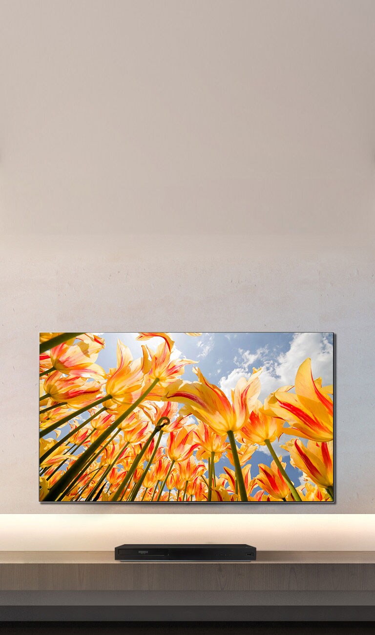 4K-Disc-Wiedergabe für lebensechte Bilder1