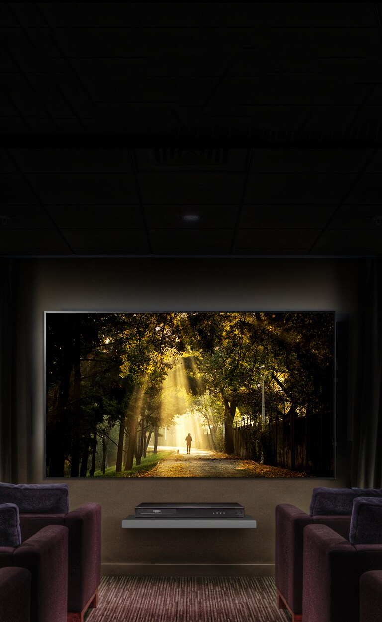 Dolby Vision™, weil jederVideo-Frame zählt1