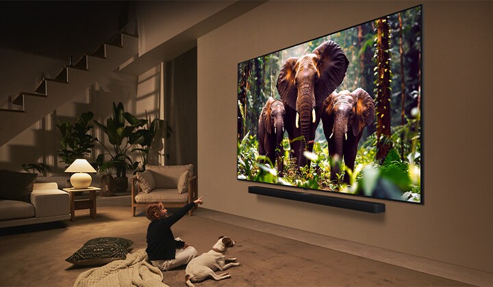 Ein Mädchen und ein Hund sitzen vor einem LG QNED-Fernseher, der an einer Wand montiert ist und drei Elefanten zeigt, die über einer LG Soundbar nach außen laufen.