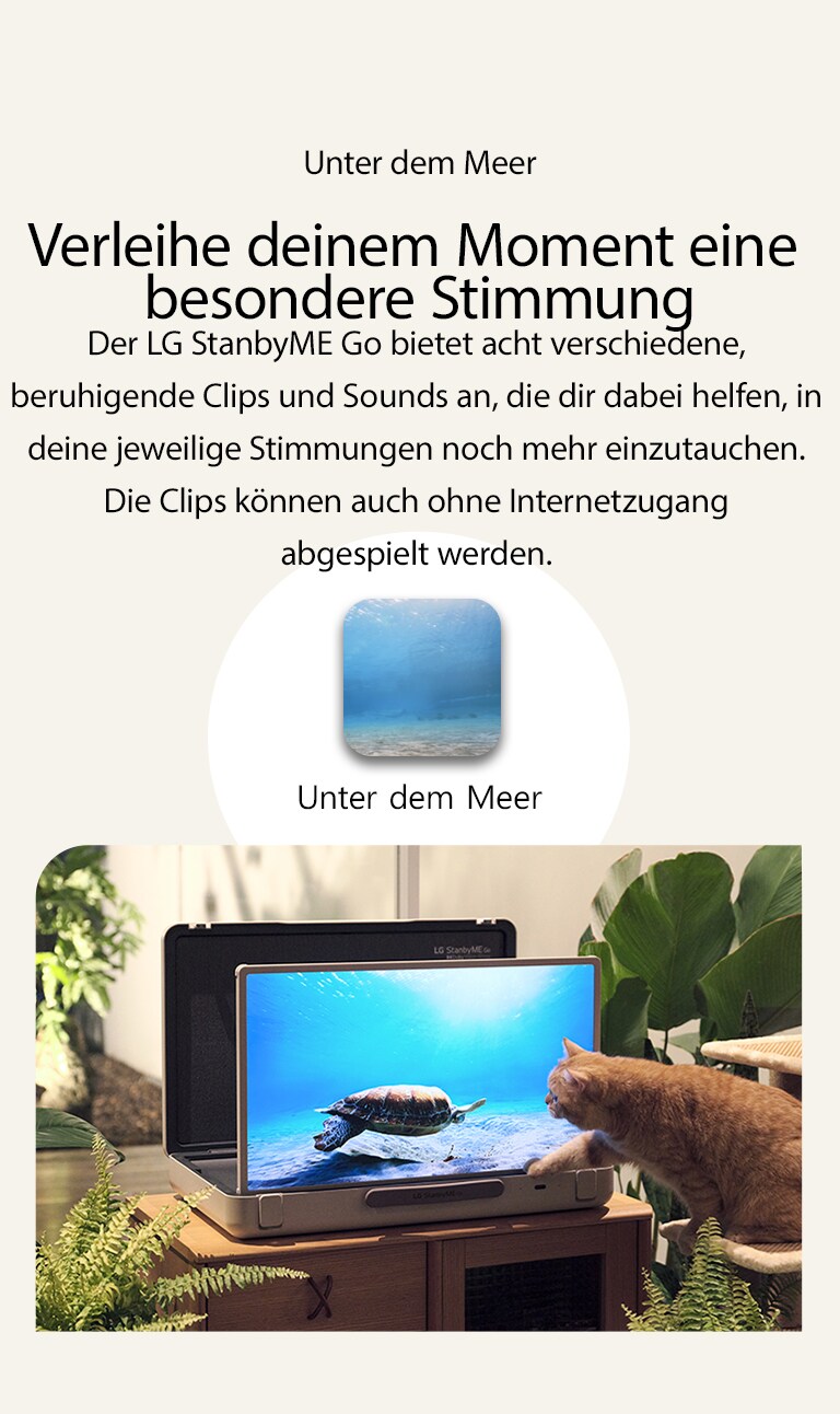 Der LG StanbyME Go steht in einem Garten und auf dem Bildschirm ist ein Unterwasser-Meeresmotiv zu sehen. Vor dem Bildschirm sitzt eine Katze auf einem Hocker und versucht, die Schildkröte auf dem Bildschirm zu fangen.