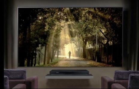 Auf dem Bildschirm ist ein Wald zu sehen.