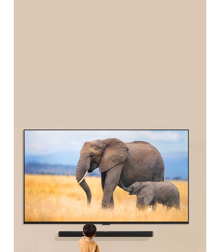 LG TV مثبت على جدار غرفة المعيشة مع LG Soundbar مثبت أسفله مباشرة. يعرض التلفزيون فيلين، ويقف طفل صغير أمام التلفزيون.