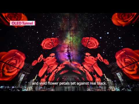 حل قابل للتخصيص بشكل تام