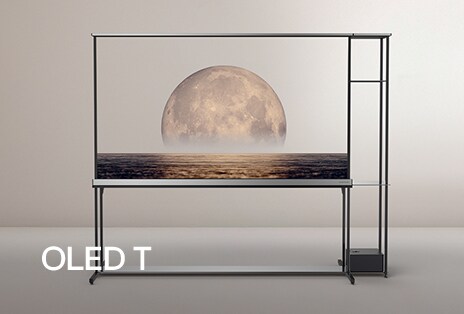 LG SIGNATURE OLED T standing in foyer depicting a background on the transparent screen. 	