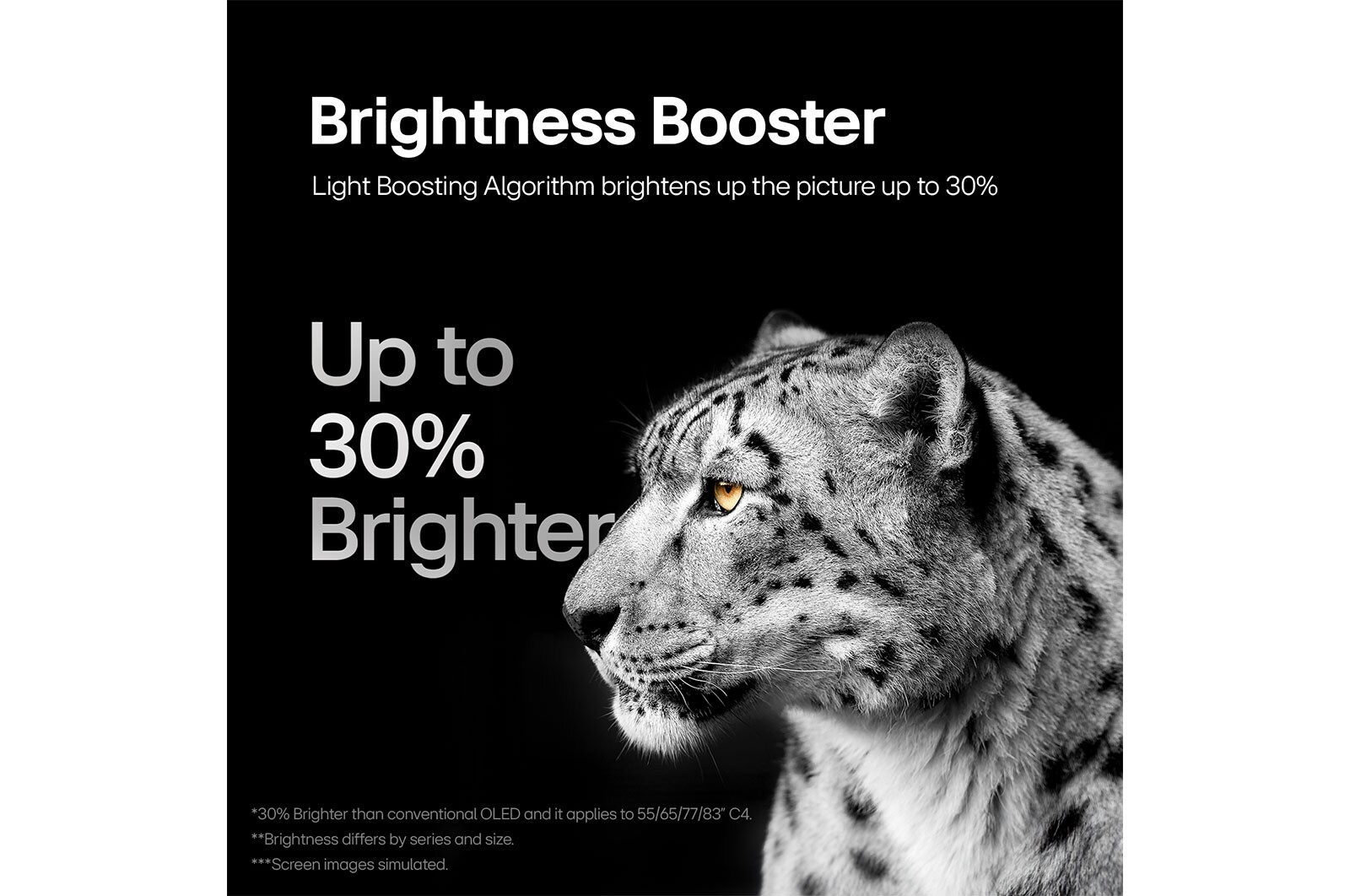 Brightness Booster Max