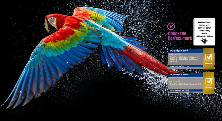 Loro colorido en ultra alta definición sobre un fondo negro. Lo rodean gotas de agua suspendidas en el aire. La imagen destaca el Perfect Color, ya que cada tono en el cuerpo del loro se muestra vibrante y vívido. Se aprecian distintos logotipos de certificación de UL e Intertek, que hacen referencia al 100 % de fidelidad de color y al 100 % de volumen de color. También se muestra un texto que dice: “Consulta el distintivo de certificación Perfect Color”.