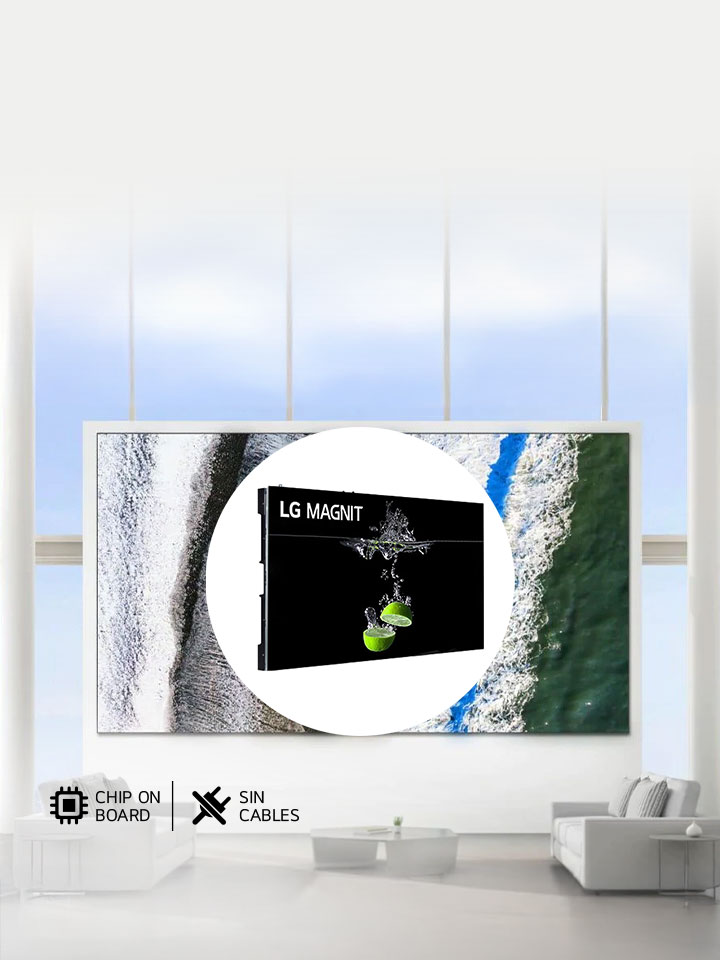 Display Profesional LG Magnit