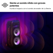 LG Altavoz de máxima potencia LG XBOOM La Bestia XL9T con 1.000W de potencia., XL9T