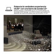 LG 48 pulgadas Smart TV LG OLED evo AI C4 4K 2024, OLED48C46LA