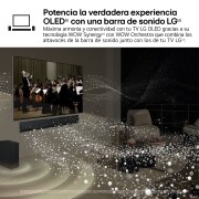 LG 55 pulgadas Smart TV LG OLED evo AI C4 4K 2024, OLED55C46LA