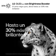 LG 65 pulgadas Smart TV LG OLED evo AI C4 4K 2024, OLED65C44LA