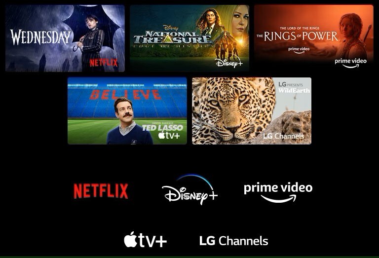 A poster of Wednesday from Netflix, National Treasure from Disney+, The Rings of Power from Prime Video, Ted Lasso from Apple TV Plus, and a still from LG Channels with a leopard in the wild.