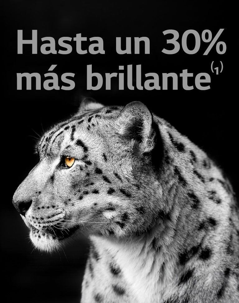 La cabeza de un leopardo blanco vista de lado. Las palabras a la izquierda "Hasta un 30% más brillante" muestran el potenciador de brillo de LG.