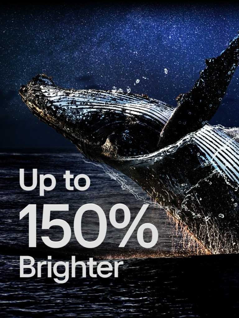 Una ballena saltando fuera del océano debajo de las palabras "hasta un 150% más brillante" muestra la función Brightness Booster Max de LG en acción.