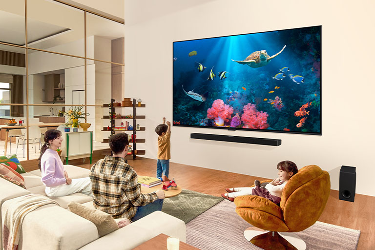 Instalación en pared de la tv incluida 