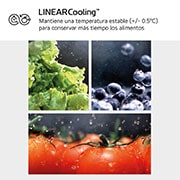 LG Frigorífico Combi Instaview  Door Cooling+, 1,86 m, Clasificación C, capacidad de 352 l,  Acero negro grafito, GBG5160CEV