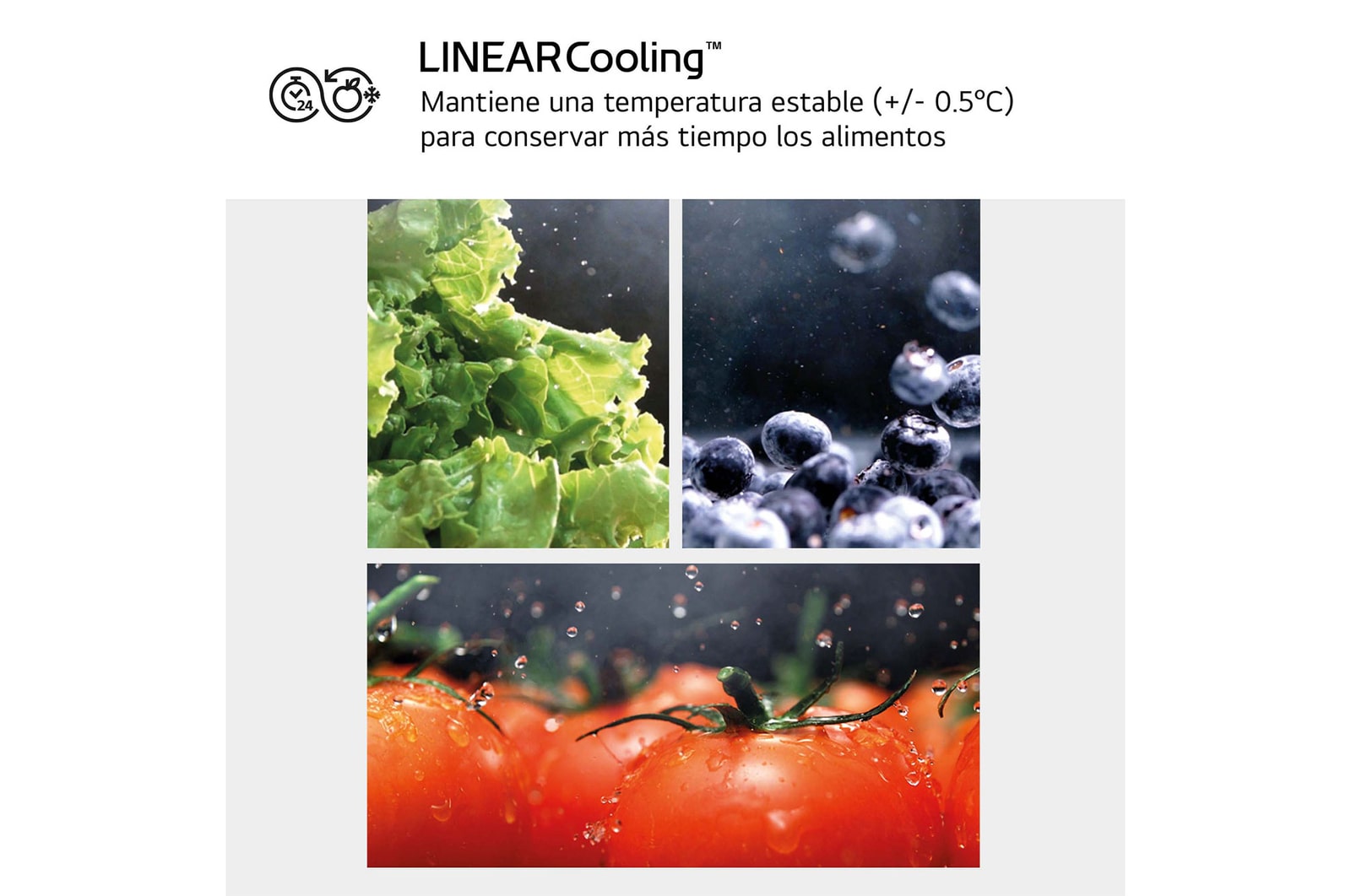 LG Frigorífico Combi Door Cooling+,  2,03m, Clasificación C, capacidad de 419l, inox antihuellas. Serie 700, GBV7280CPY, GBV7280CPY