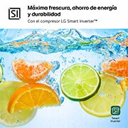 LG Frigorífico Combi Door Cooling+,  2,03m, Clasificación C, capacidad de 419l, inox antihuellas. Serie 700, GBV7280CPY, GBV7280CPY