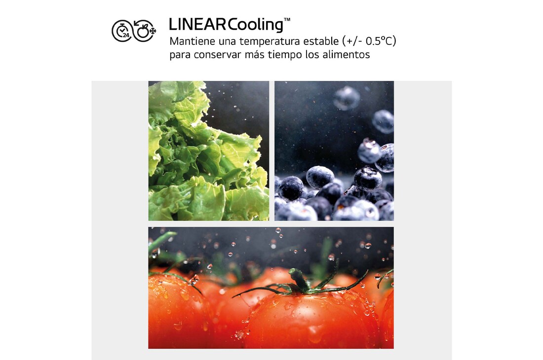 LG Frigorífico American Combi, 508L, Clasificación E, InstaView™ - Acero, GMG861MBAE