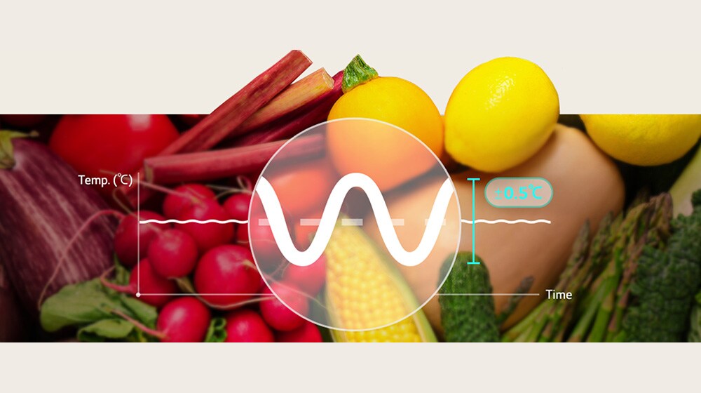 Alimentos frescos durante más tiempo