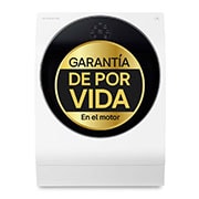 LG LSWD100E Lavasecadora