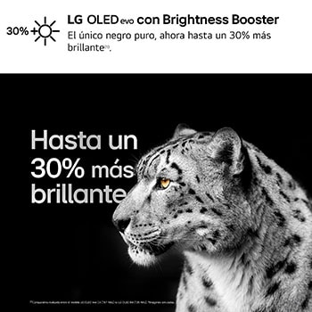 LG 83 pulgadas Smart TV LG OLED evo AI C4 4K 2024, OLED83C44LA