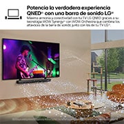 LG 65 pulgadas Smart TV LG QNED MiniLED QNED91 AI 4K 2024, 65QNED91T6A