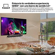 LG 86 pulgadas Smart TV LG QNED MiniLED QNED91 AI 4K 2024, 86QNED91T6A