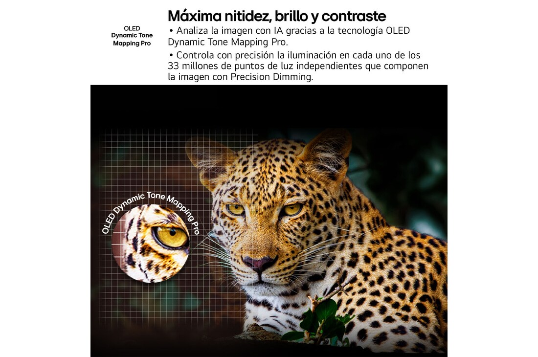 Una hoguera nocturna en plena naturaleza. A lo lejos, se ve un bosque y un lago. Un cielo nocturno lleno de estrellas. Toda la escena está dividida por la mitad. Un lado es más oscuro y apagado. El otro es considerablemente más brillante, mostrando el impresionante brillo de Brightness Booster. 