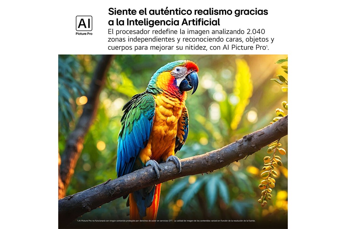 Salpicaduras de pintura de diversos colores brotan del suelo. Certificación 100% Color Volume a DCI-P3 por Intertrek. El título hace referencia a la nueva y exclusiva tecnología de vanguardia para obtener la amplia gama de colores de LG que te permite ver un color vívido en la pantalla.