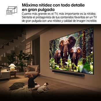LG Smart TV LG QNED evo AI QNED86 100 pulgadas MiniLED 4K 2025, 100QNED86A6
