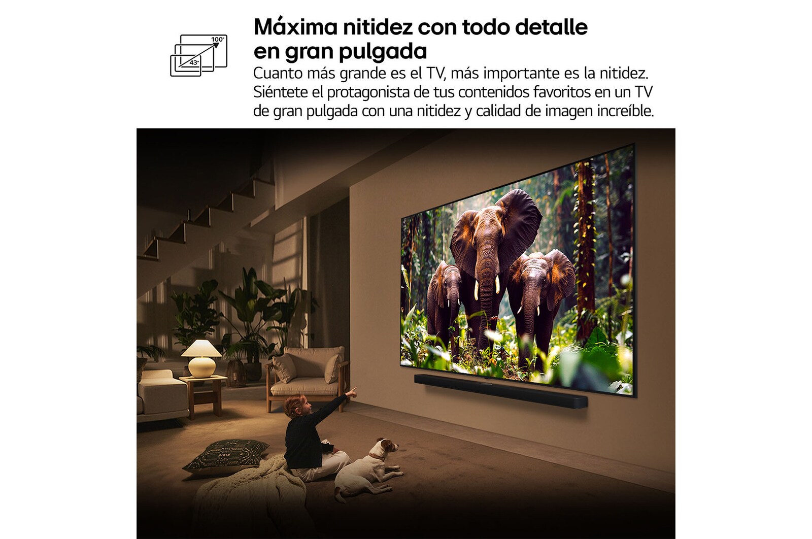 LG Smart TV LG QNED evo AI QNED86 100 pulgadas MiniLED 4K 2025, 100QNED86A6