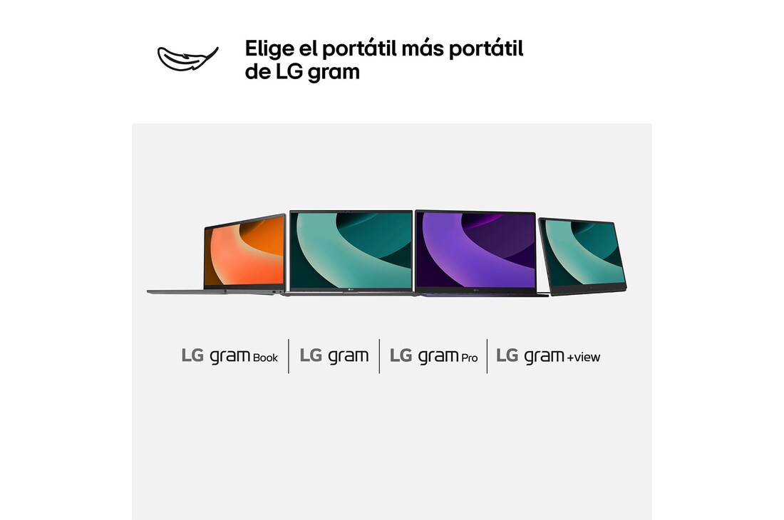 USP : LG gram data