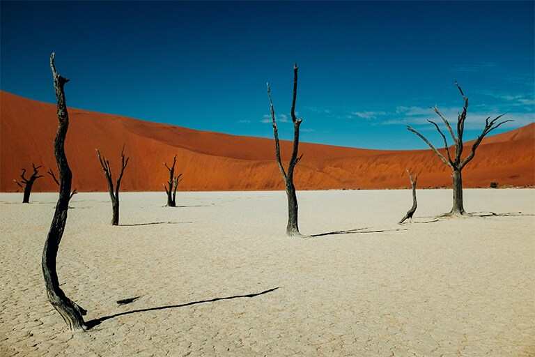 La emergencia climática es una realidad