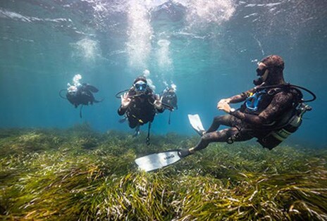 Escuelas de buceo en acción