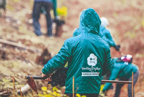 Plantando mano a mano