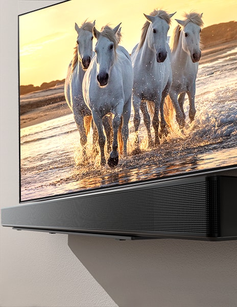 Un televisor y una barra de sonido colocados en una estantería muestran la imagen de un caballo blanco corriendo por una playa azul.